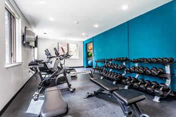 Gym 2